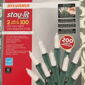 LED Mini Lights 100 indoor/outdoor One Set